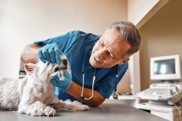 Best Emergency Care for Gum Disease in Lorenzo, TX